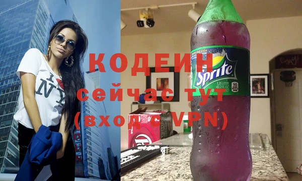 хмурый Богородицк