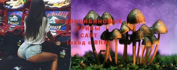 меф VHQ Богданович