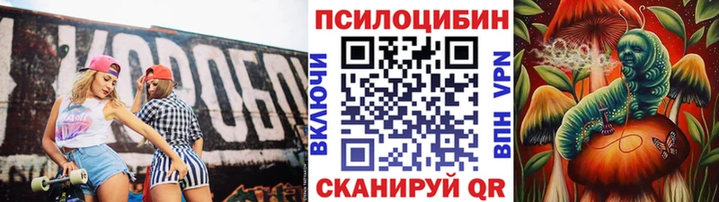 дарнет шоп  Кемерово  Псилоцибиновые грибы MAGIC MUSHROOMS 